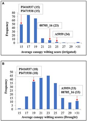 Identification and Confirmation of Loci Associated With <mark class="highlighted">Canopy Wilting</mark> in Soybean Using Genome-Wide Association Mapping